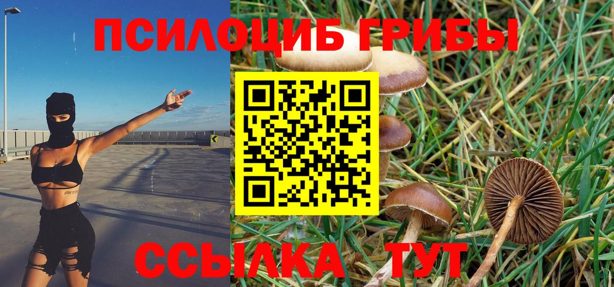 Псилоцибиновые грибы Psilocybe  Псилоцибиновые грибы ЛСД  Вход с VPN  Бугульма 
